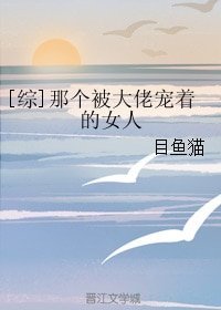(BG/綜漫同人)那個被大佬寵着的女人